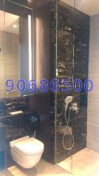 Tomlinson Heights (D10), Condominium #210473201
